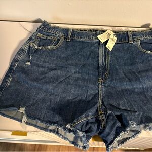 NWT XL Aerie Daydream Denim Shorts